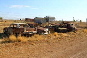 Vintage cars in Winton