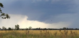 Kumbarilla, QLD