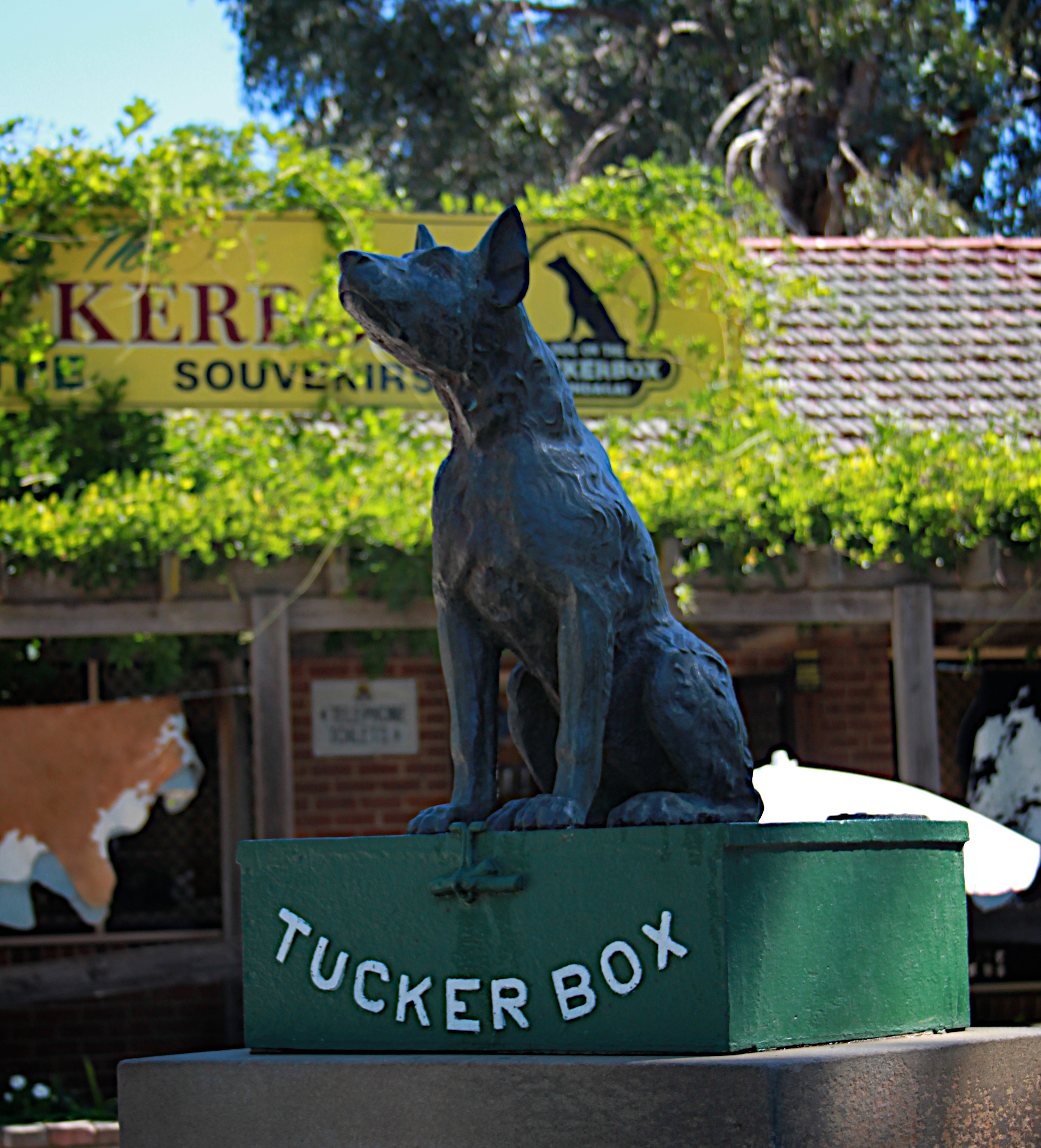 Gundagai, NSW