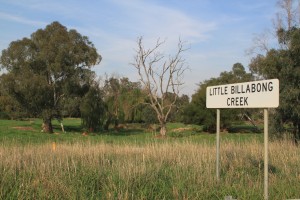 Billabong, NSW