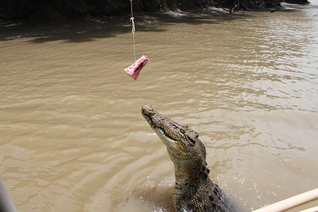 Darwin, NT